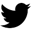 Twitter Icon
